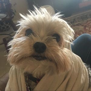 Meet your Posher, Haley